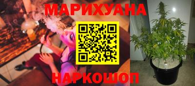 индика Будённовск