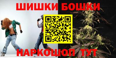 индика Будённовск