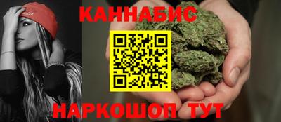 индика Будённовск