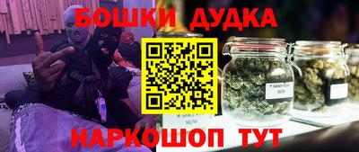 индика Будённовск