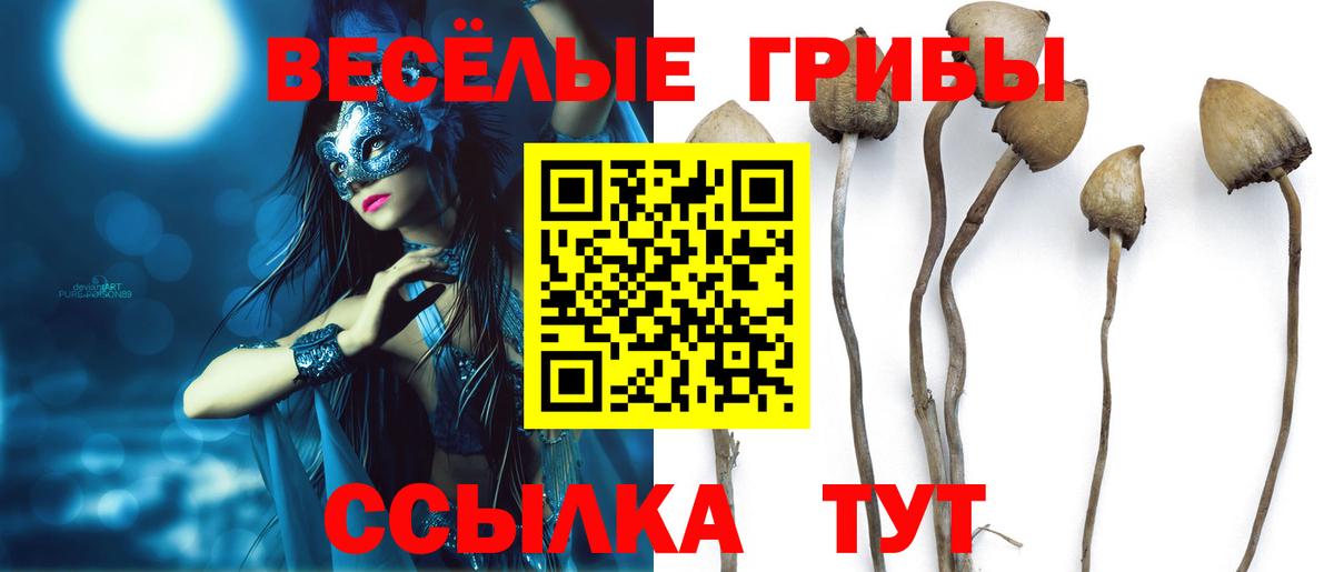 Сарапул  Галлюциногенные грибы Magic Shrooms  купить наркотики цена  Вход с VPN 